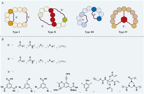 cyclic peptide|current development of bicyclic peptides.